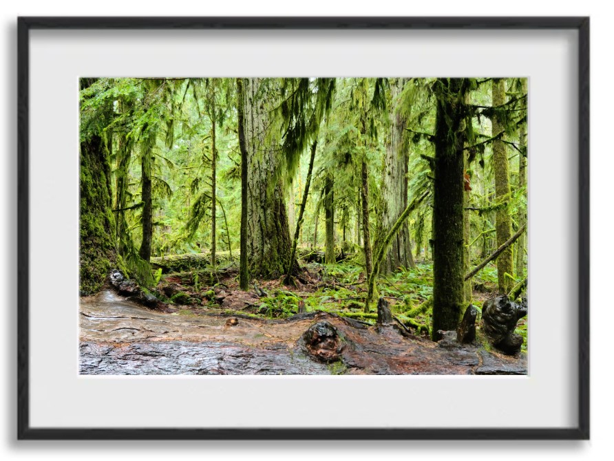 Fineart